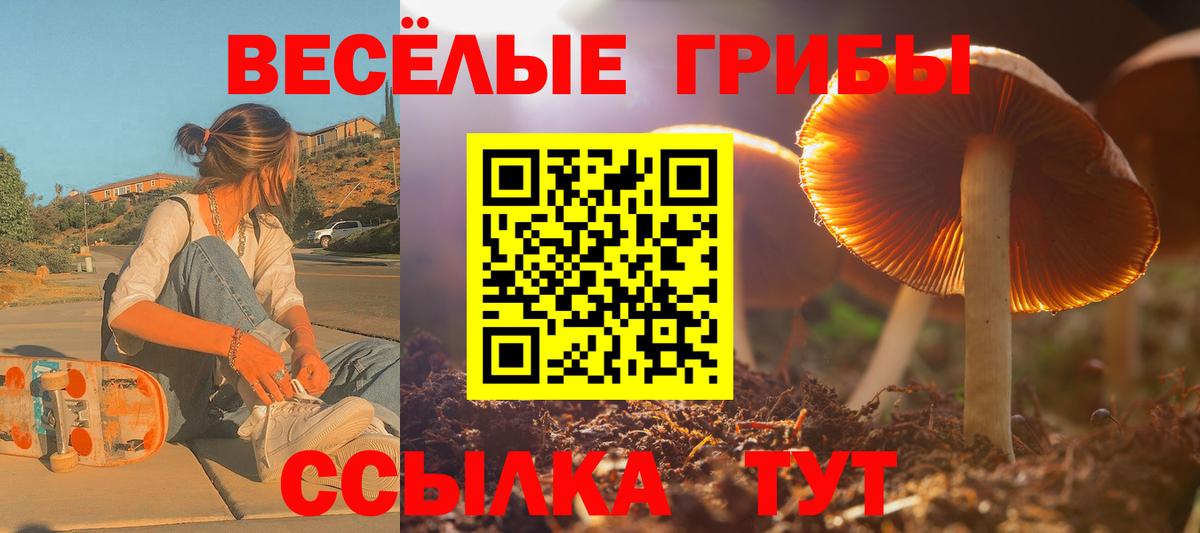 Химки  Галлюциногенные грибы Psilocybe  Вход с VPN 